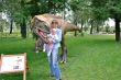 Park Krasnala5