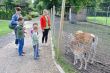 Park Krasnala7