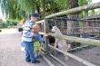 Park Krasnala9
