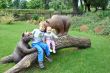 Park Krasnala15