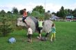 Park Krasnala16