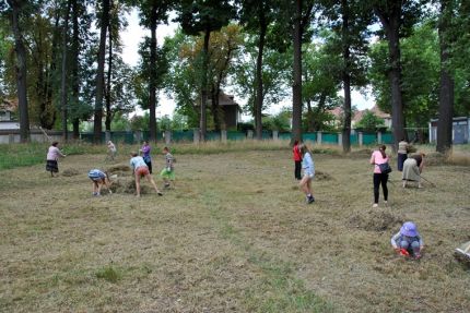 Prace5
