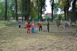 Prace7