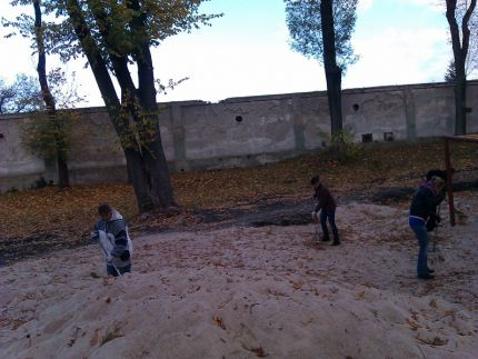 Liscie3