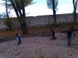 Liscie3